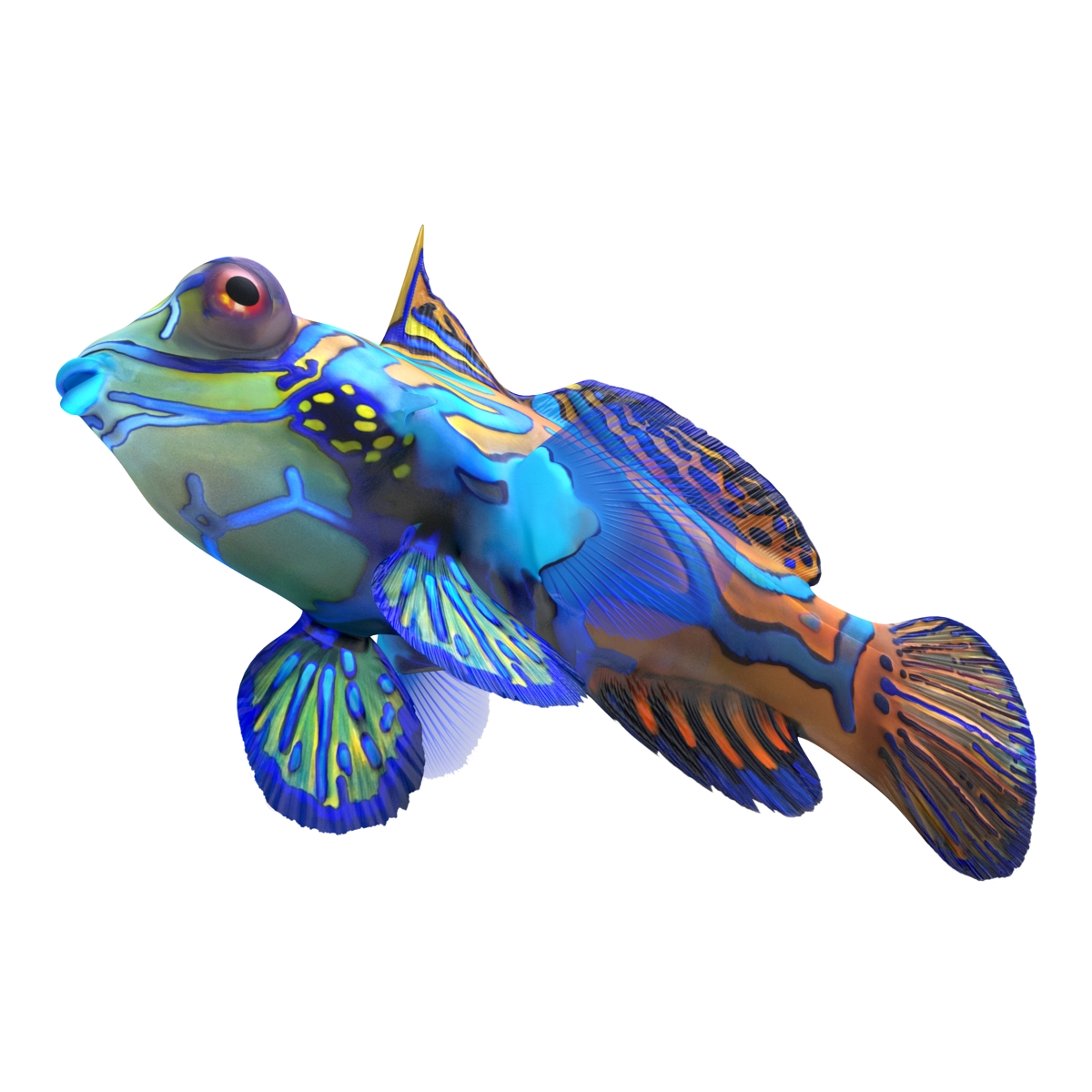 Mandarinfish 3D