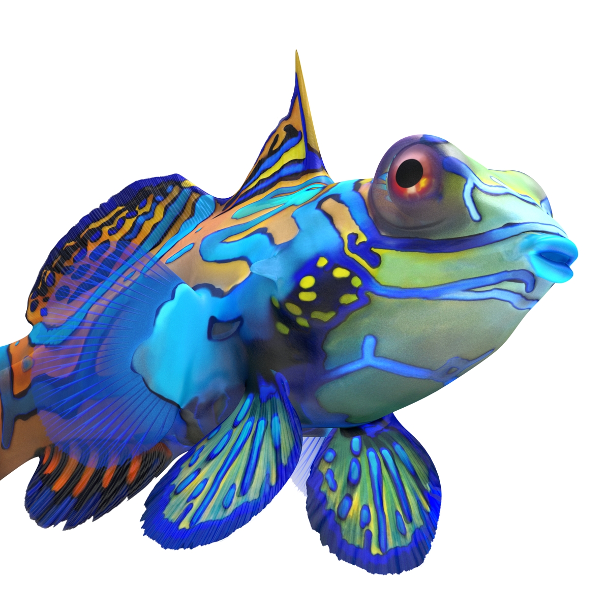 Mandarinfish Rigged 3D model