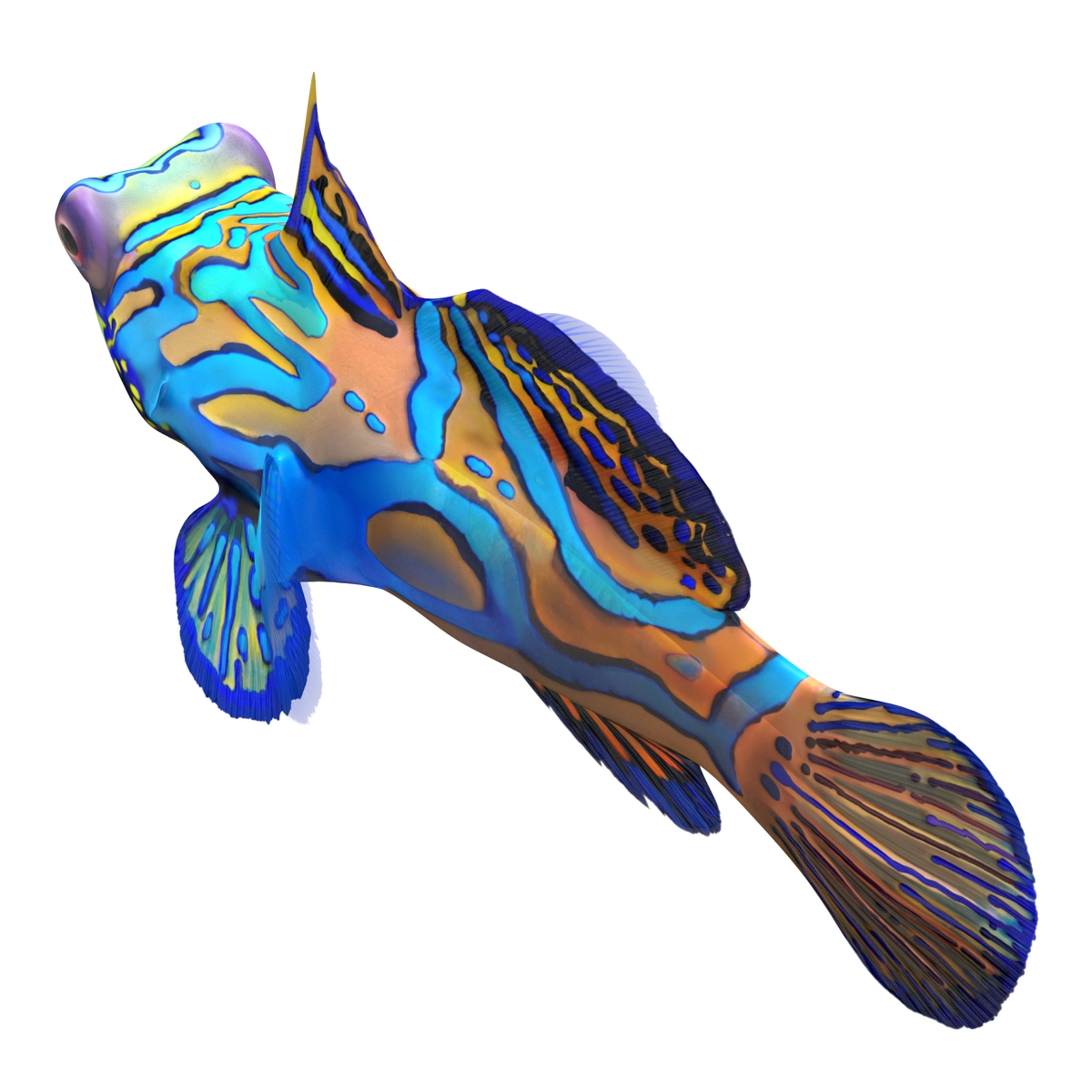 Mandarinfish 3D