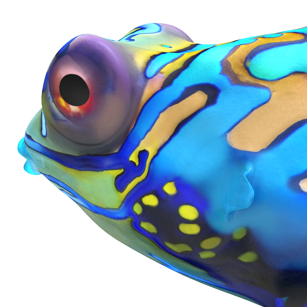 Mandarinfish Rigged 3D model