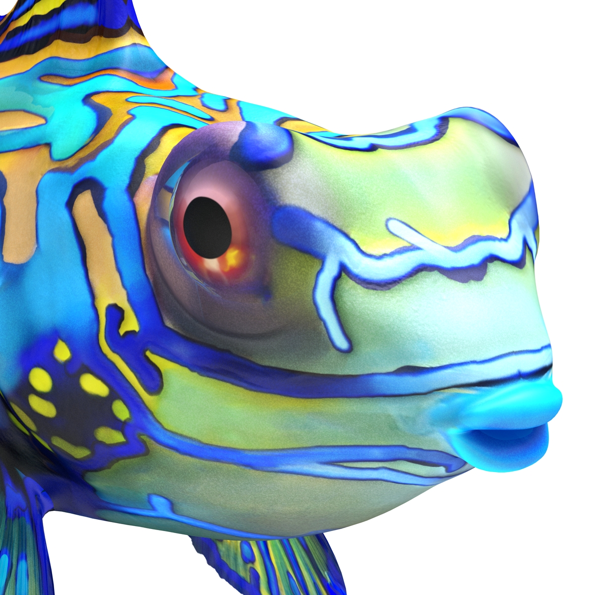 Mandarinfish 3D