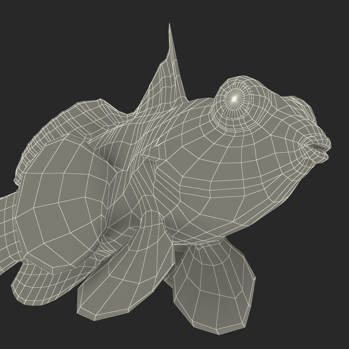 Mandarinfish 3D