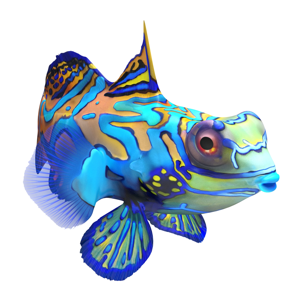 Mandarinfish Pose 2 3D model