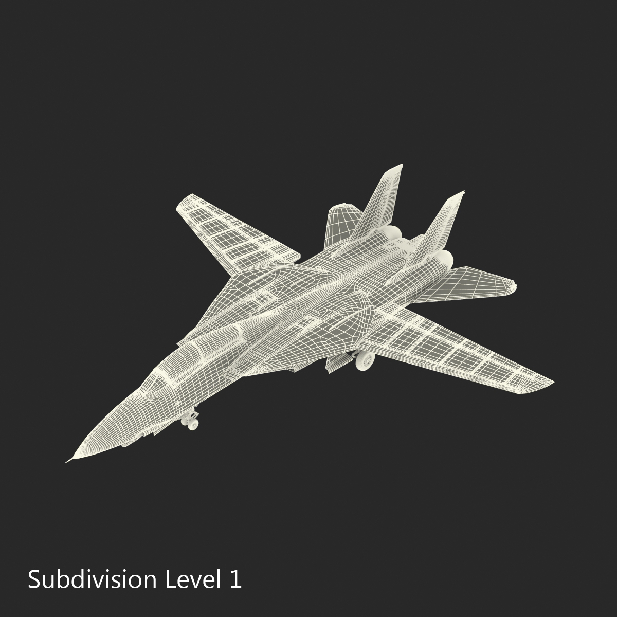 3D model F 14 Tomcat US Combat Aircraft