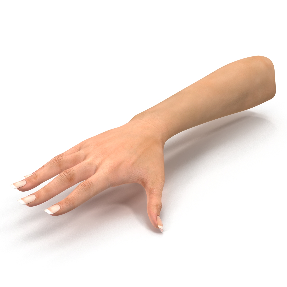 Female Hand 2 Rigged for Maya 3D model