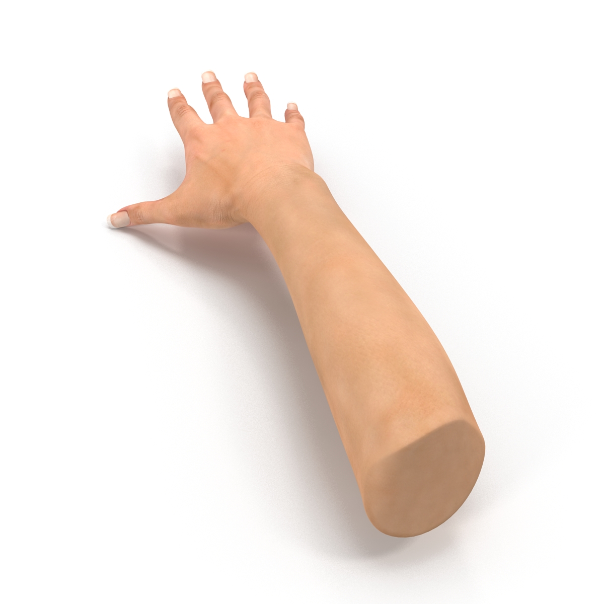 3D model Female Hand 2 Rigged