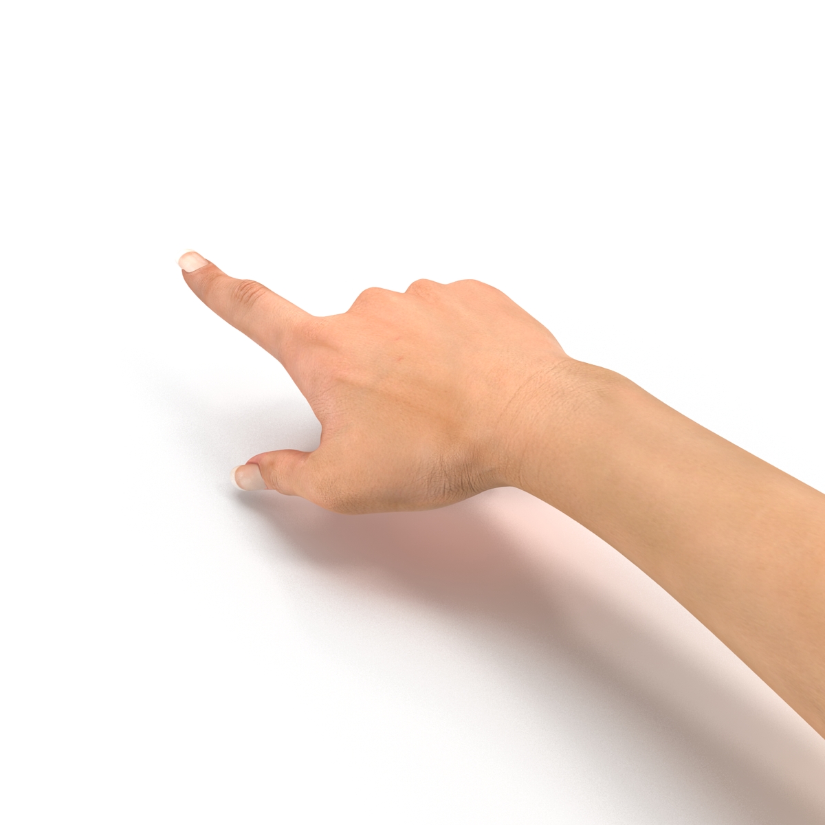 Female Hand 2 Rigged for Cinema 4D 3D model