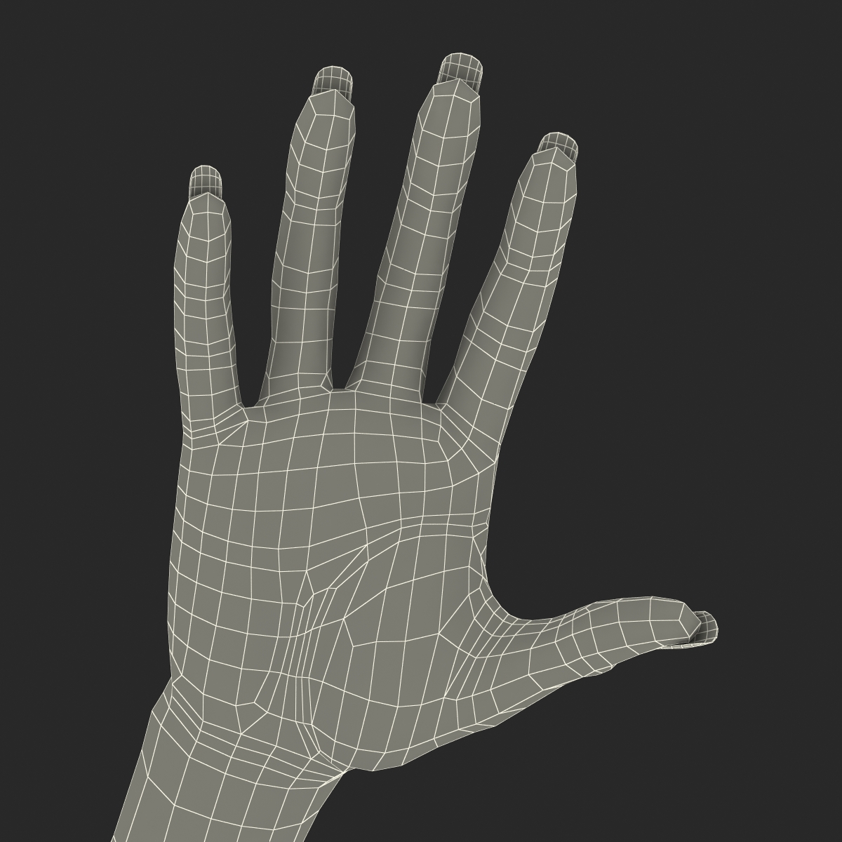 3D model Female Hand 3 Rigged