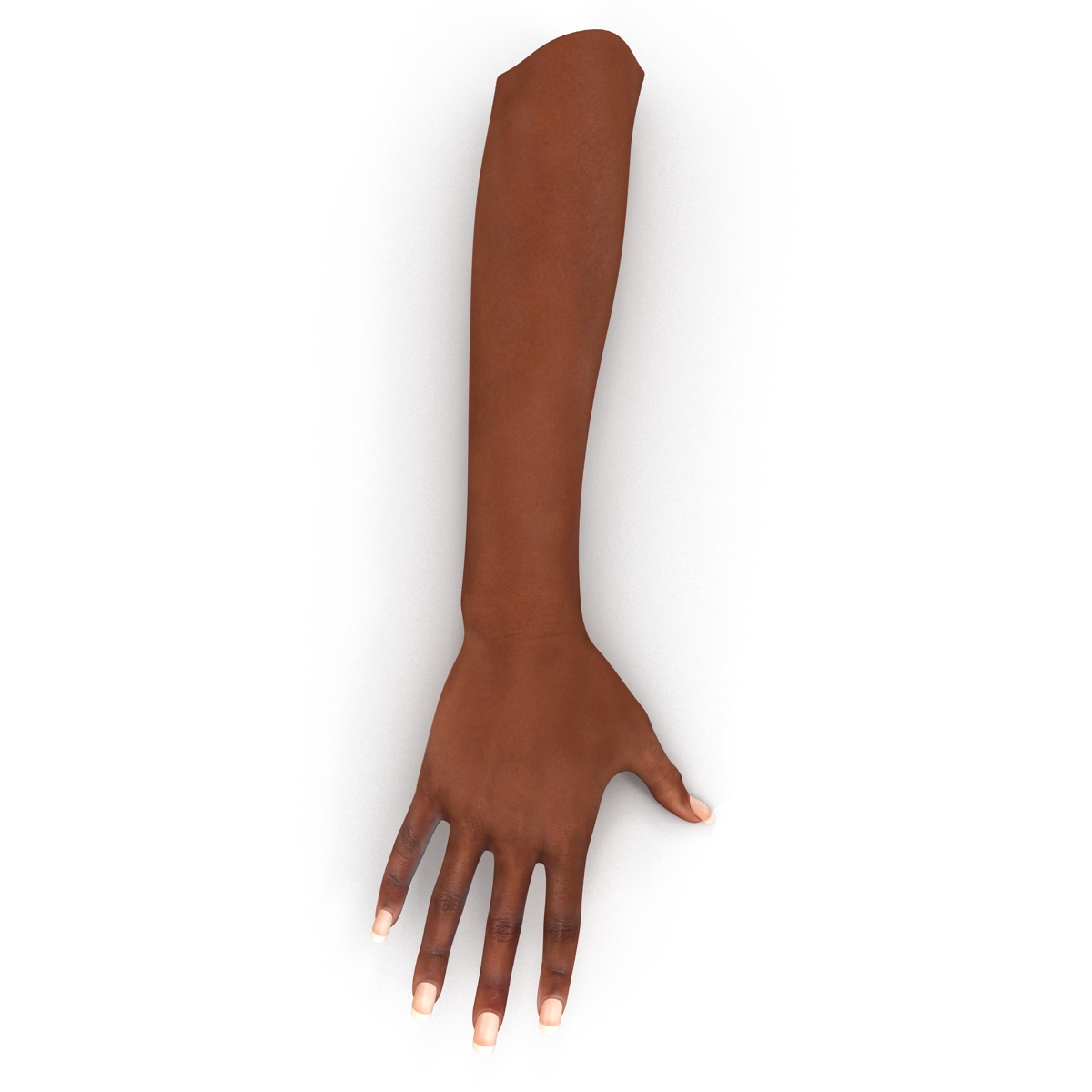 3D model Female Hand African American Rigged