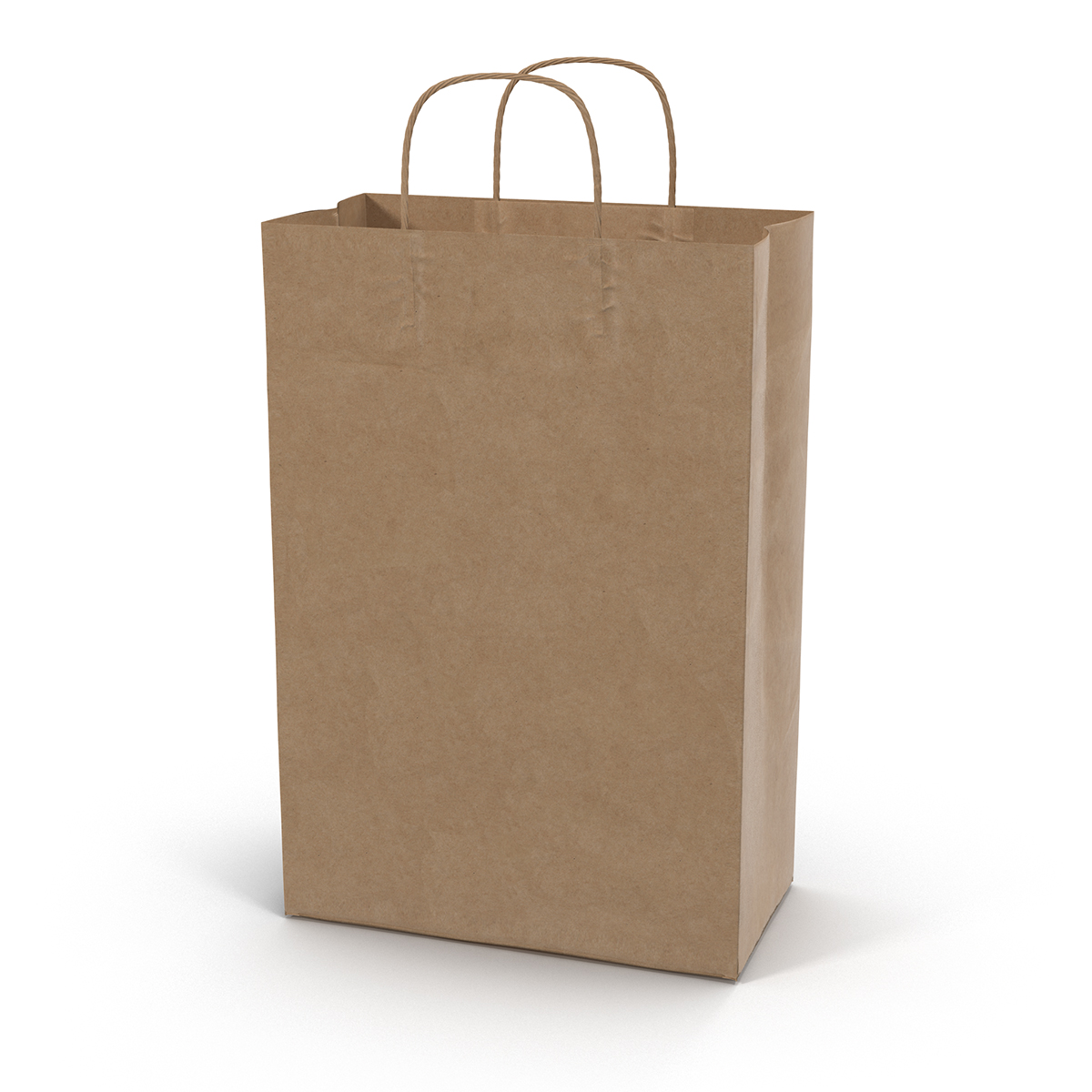 3D Paper Bag With Handle