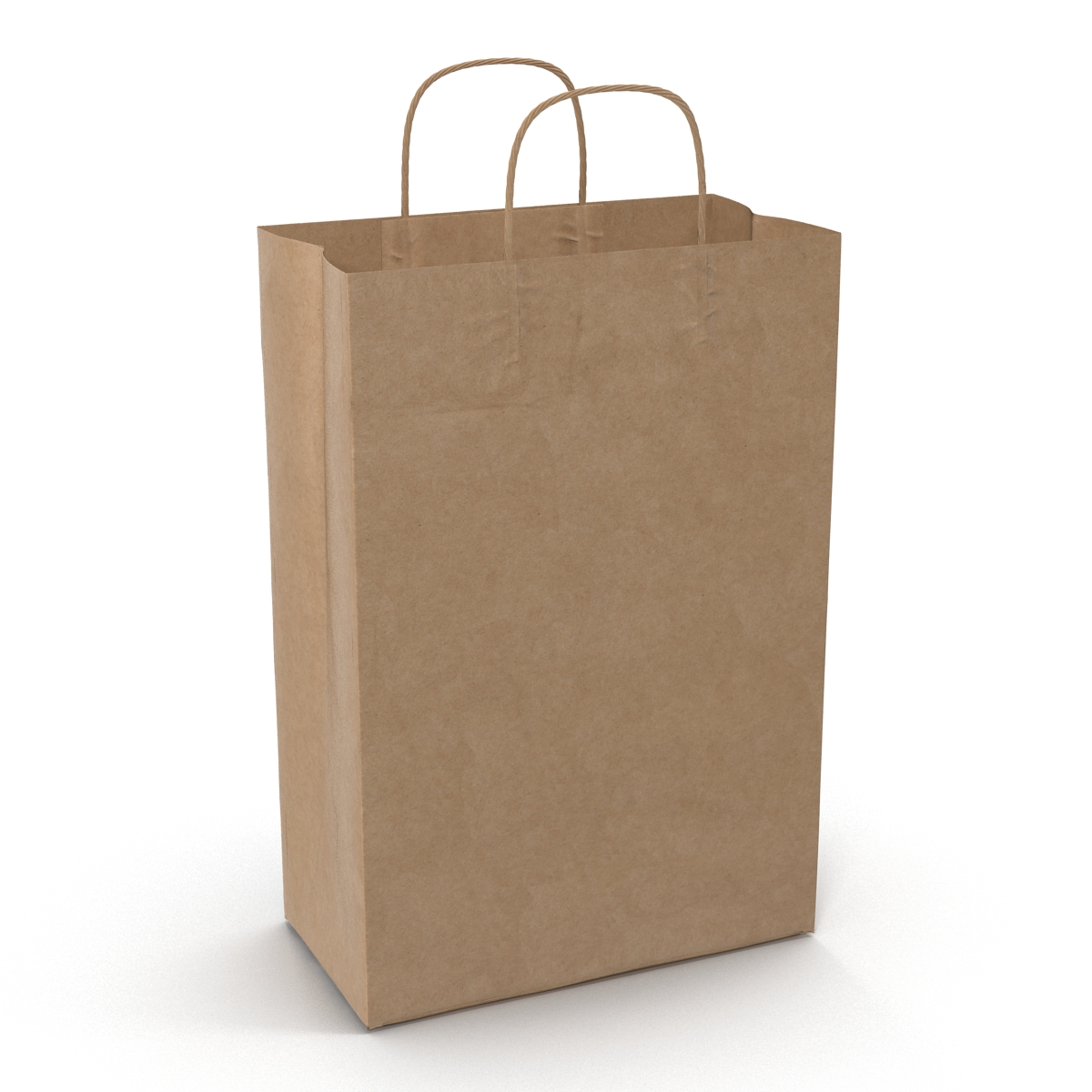 3D Paper Bag With Handle