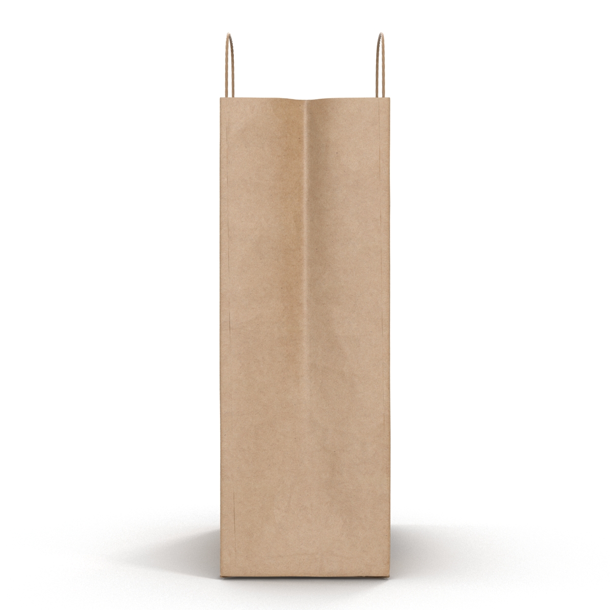 3D Paper Bag With Handle