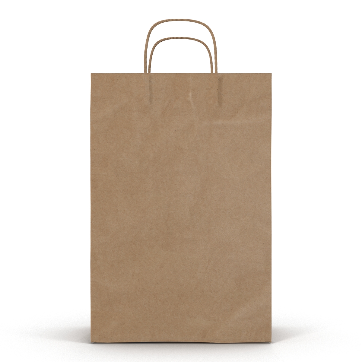 3D Paper Bag With Handle