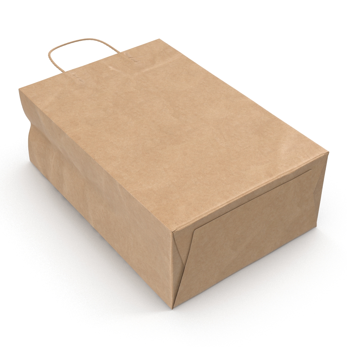 3D Paper Bag With Handle