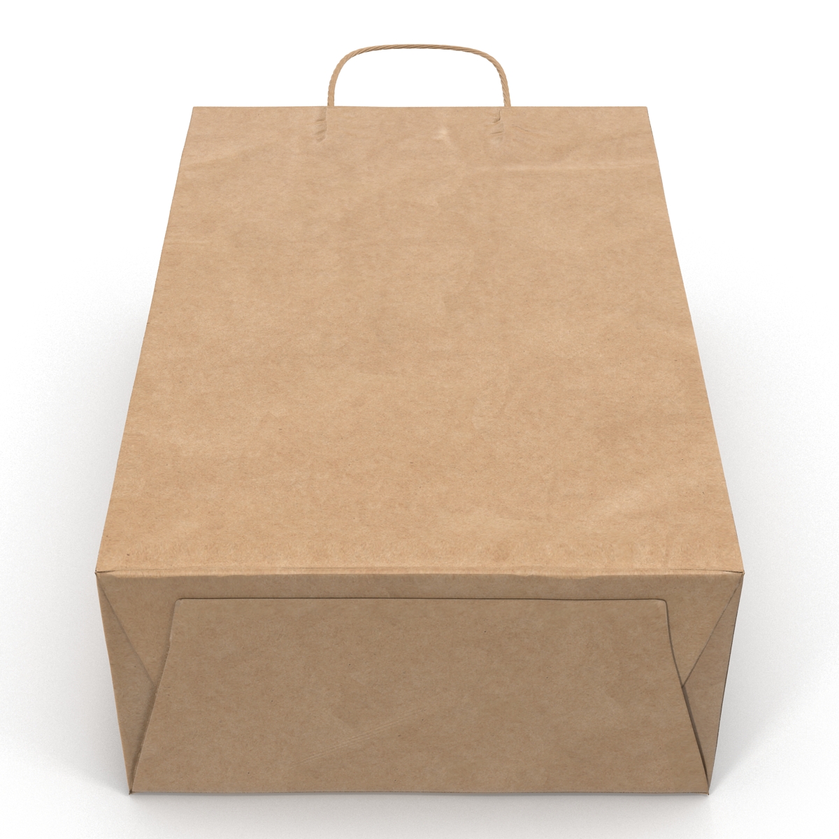 3D Paper Bag With Handle