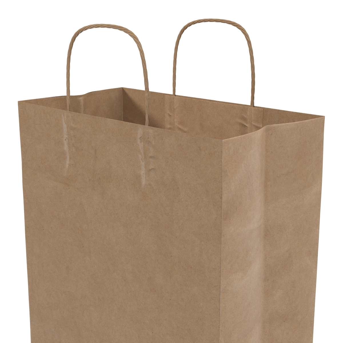 3D Paper Bag With Handle