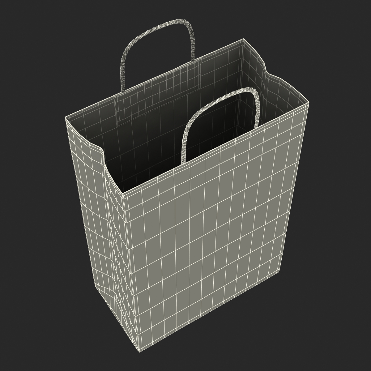 3D Paper Bag With Handle