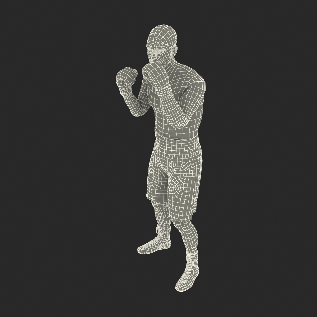 Adult Boxer Man 2 Pose 2 3D model