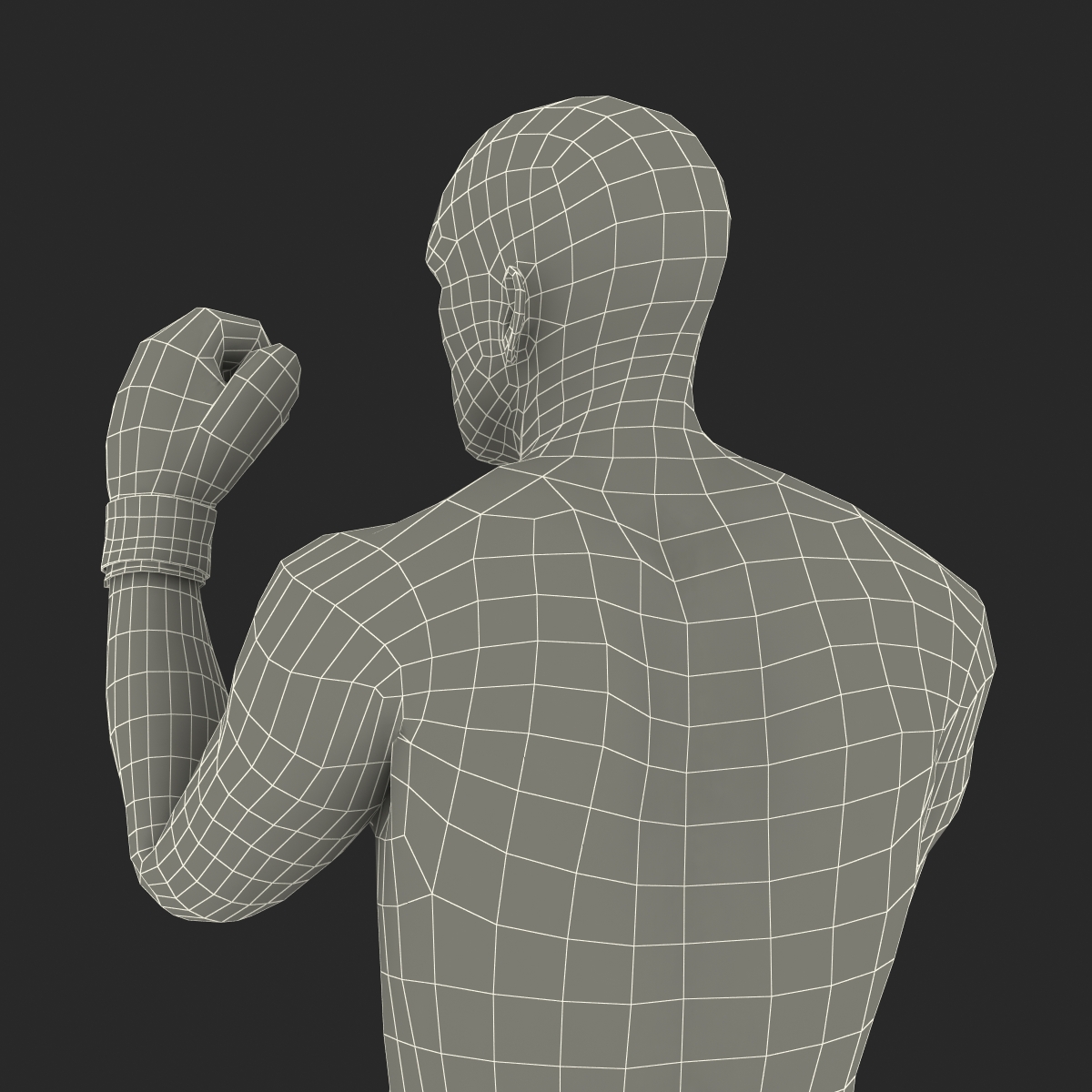 Adult Boxer Man 2 Pose 2 3D model