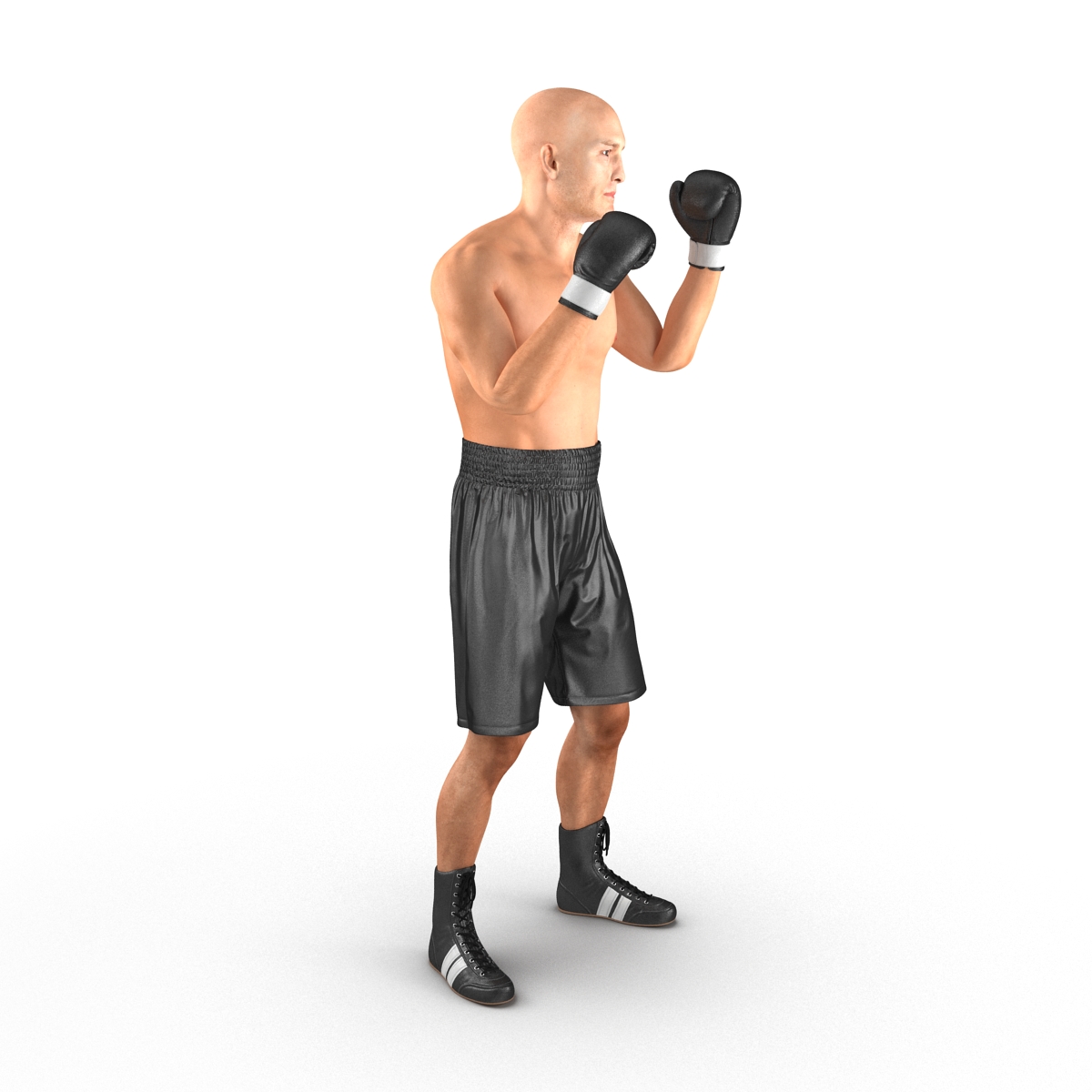 Adult Boxer Man 2 Pose 2 3D model