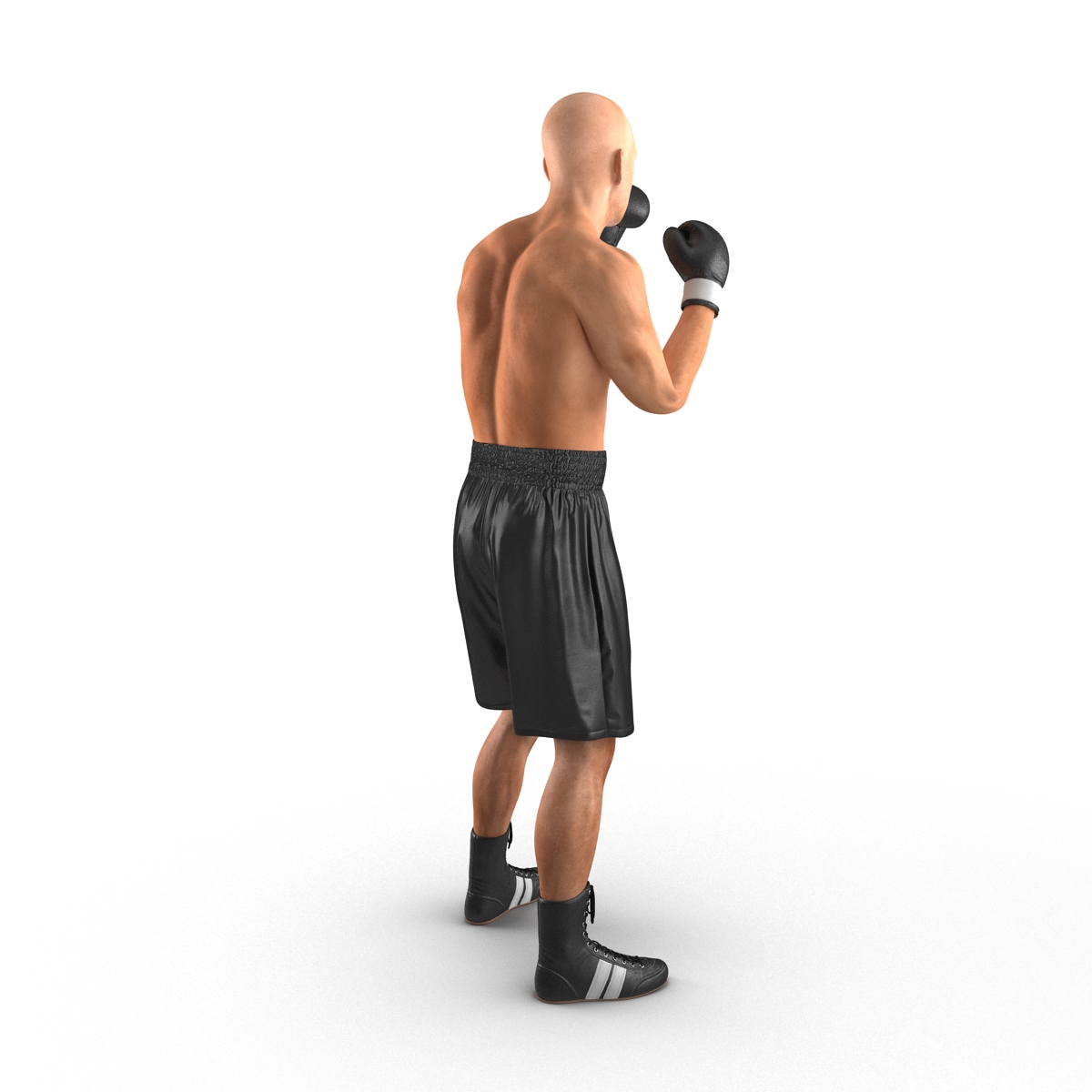 Adult Boxer Man 2 Pose 2 3D model