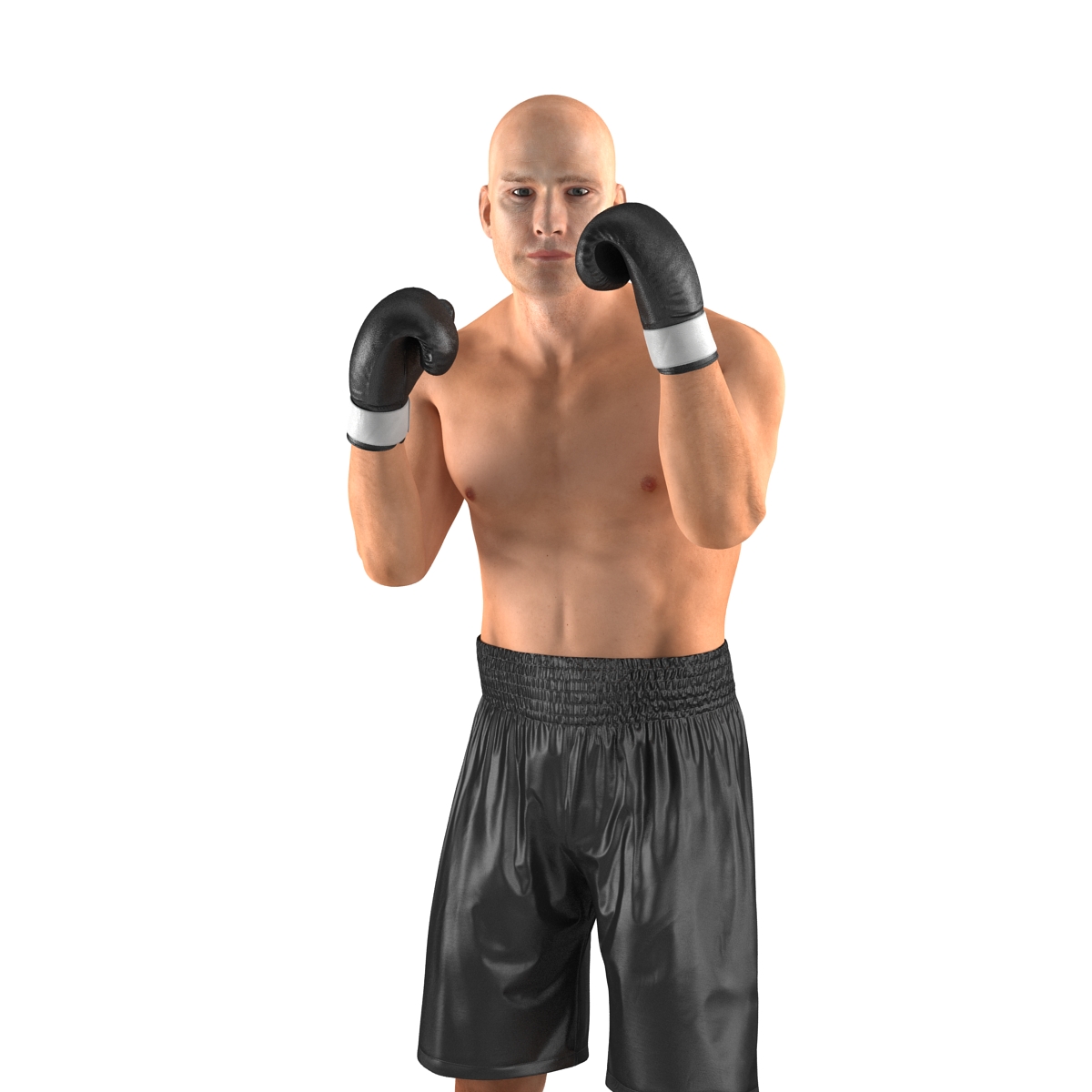 Adult Boxer Man 2 Pose 2 3D model