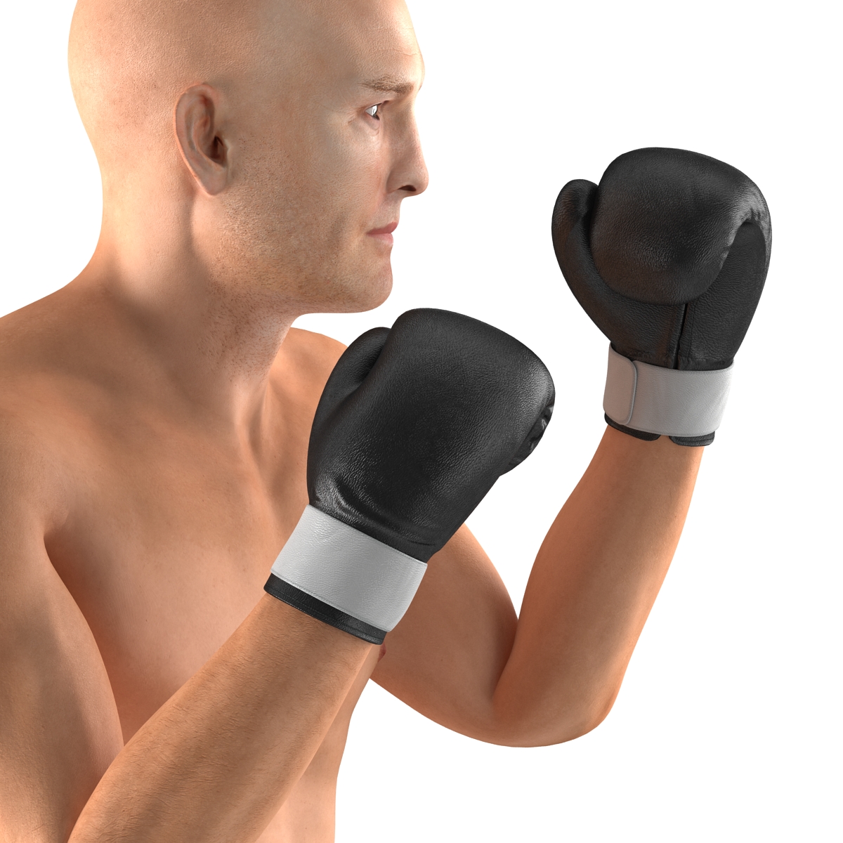 Adult Boxer Man 2 Pose 2 3D model