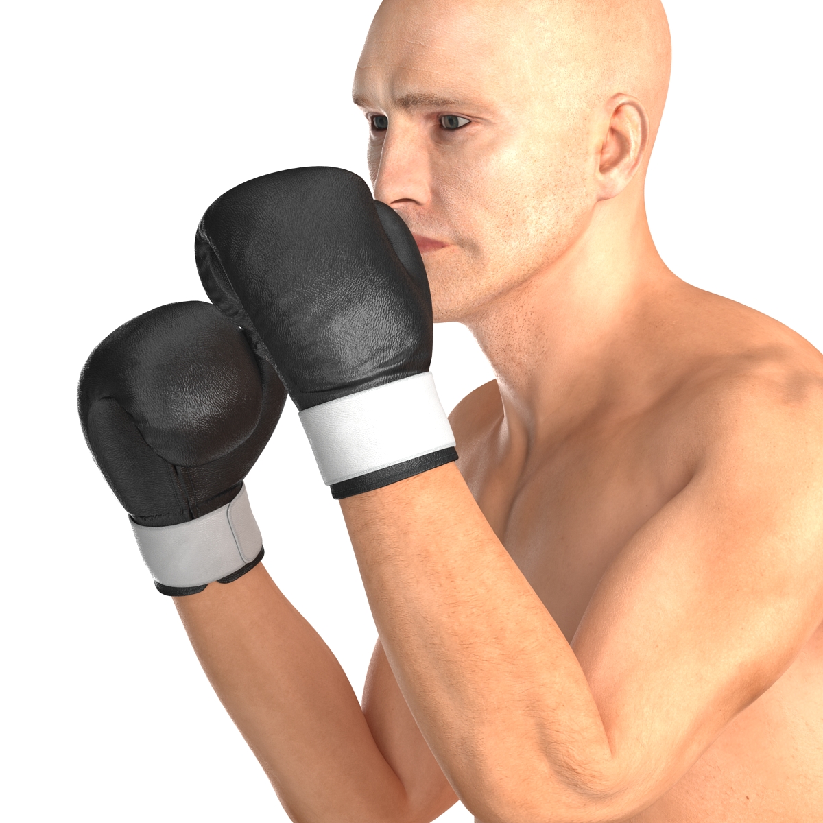 Adult Boxer Man 2 Pose 2 3D model