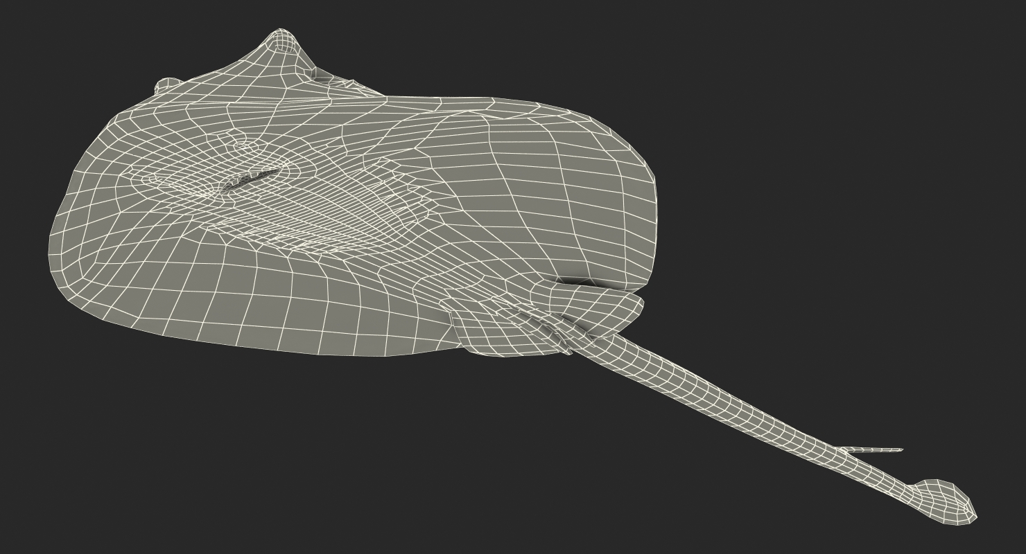 3D model Stingray