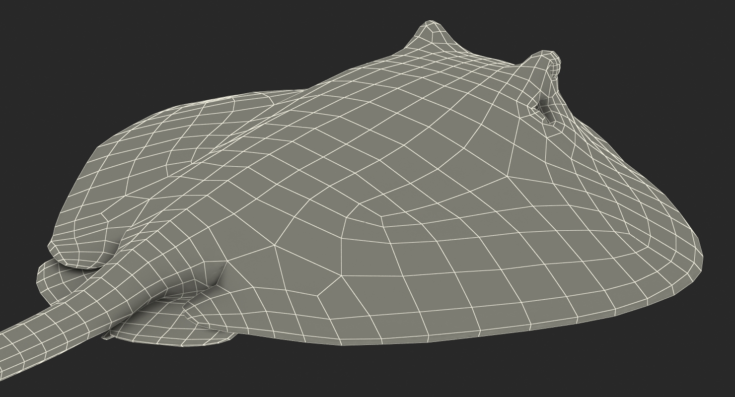 3D model Stingray