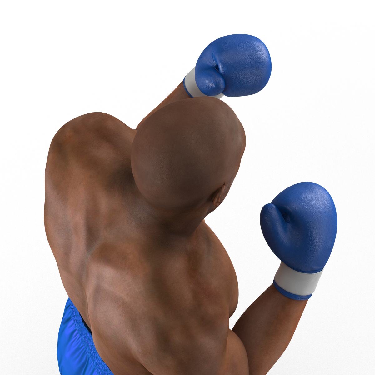 3D African American Boxer 2 Pose 2