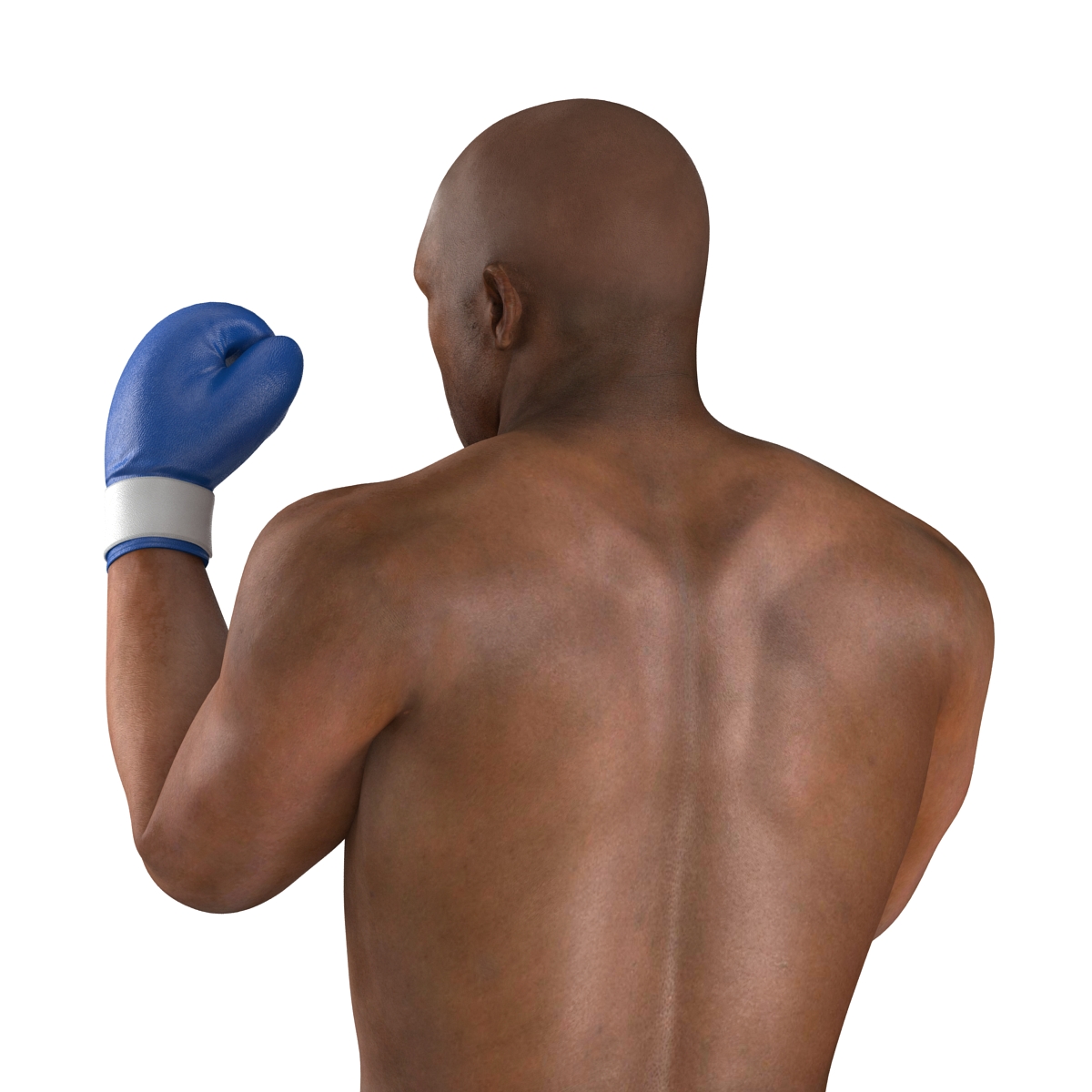 3D African American Boxer 2 Pose 2