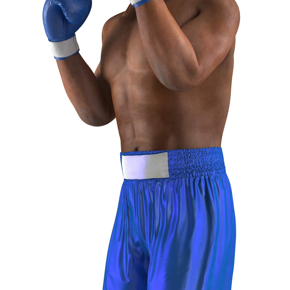 3D African American Boxer 2 Pose 2