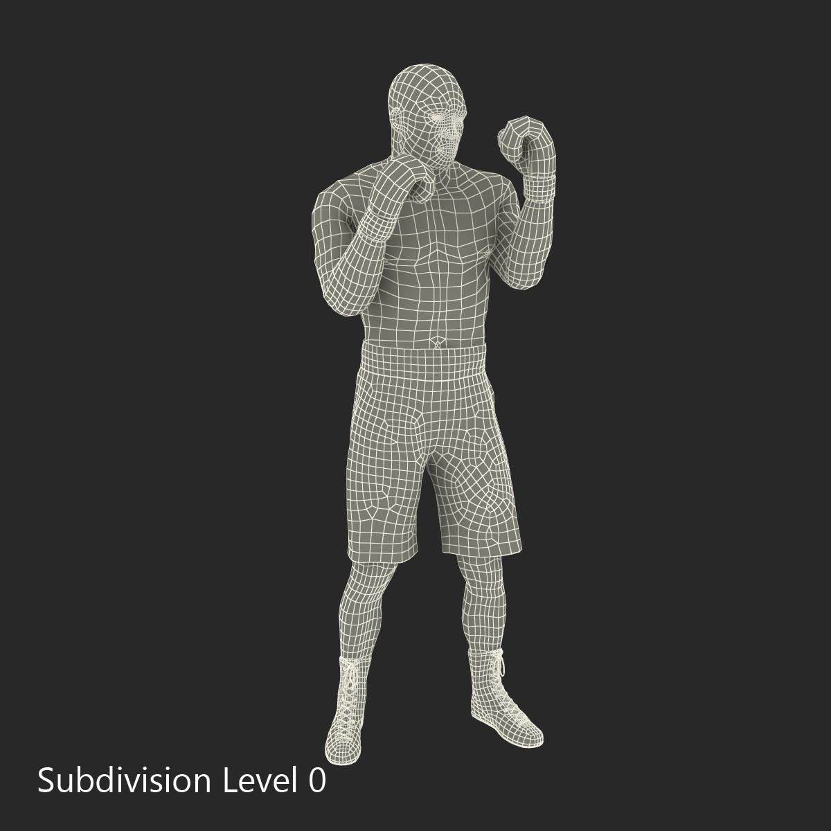 3D African American Boxer 2 Pose 2