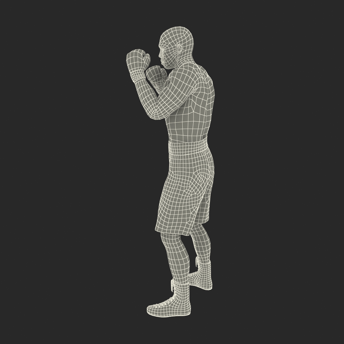 3D African American Boxer 2 Pose 2