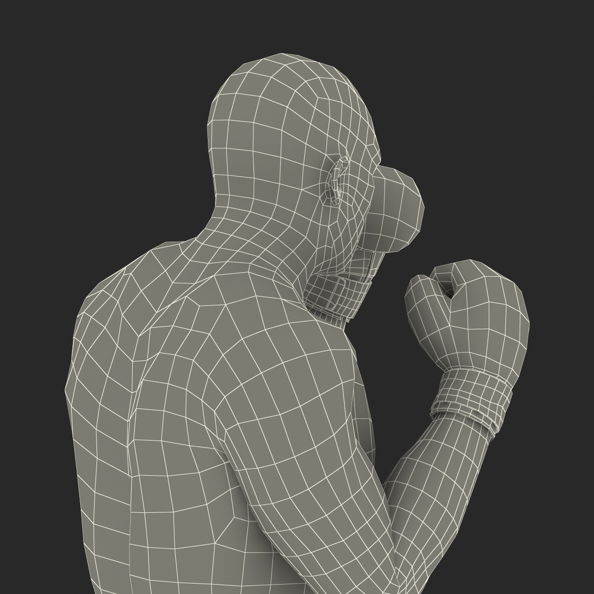 3D African American Boxer 2 Pose 2