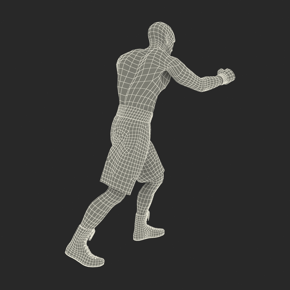 Adult Boxer Man 2 Pose 3 3D model