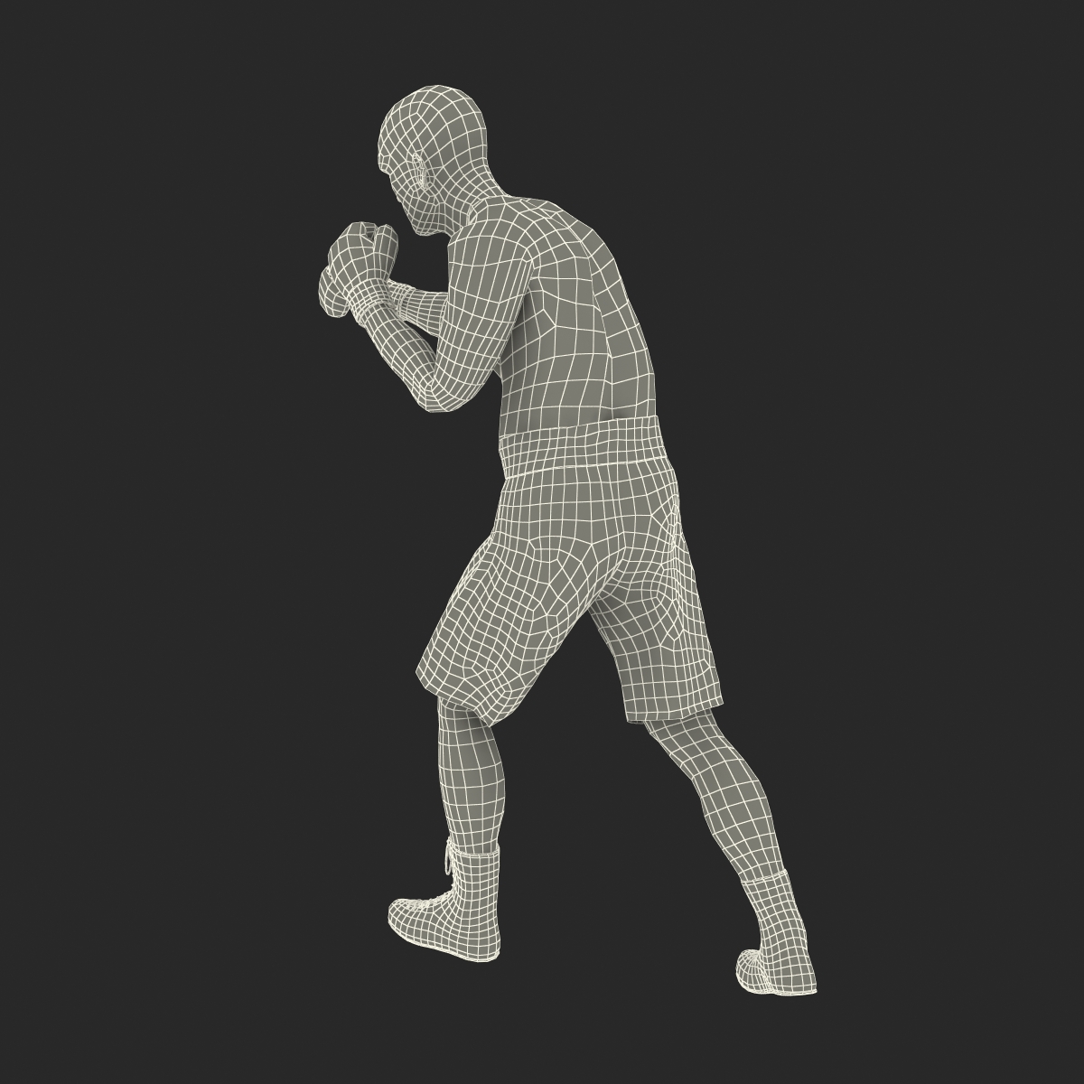 Adult Boxer Man 2 Pose 3 3D model