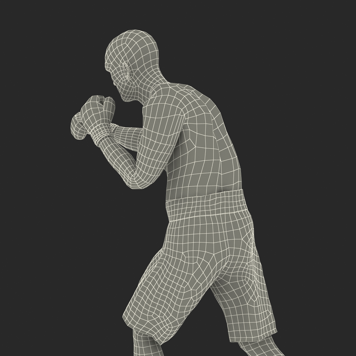 Adult Boxer Man 2 Pose 3 3D model