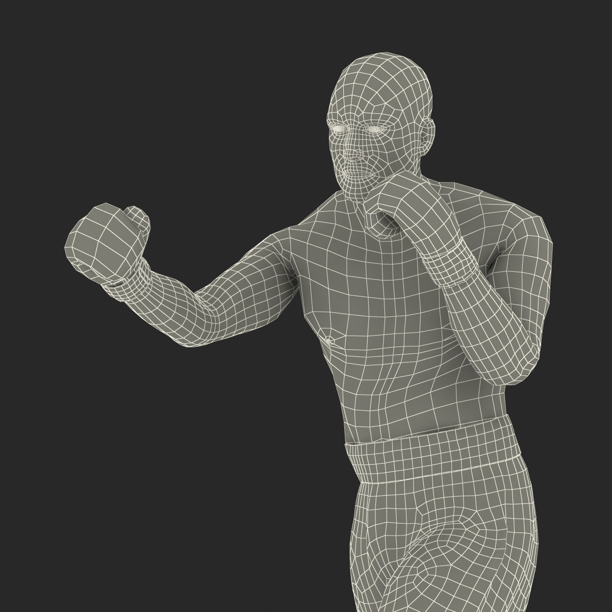 Adult Boxer Man 2 Pose 3 3D model