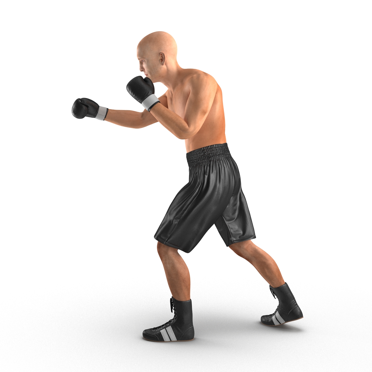 Adult Boxer Man 2 Pose 3 3D model