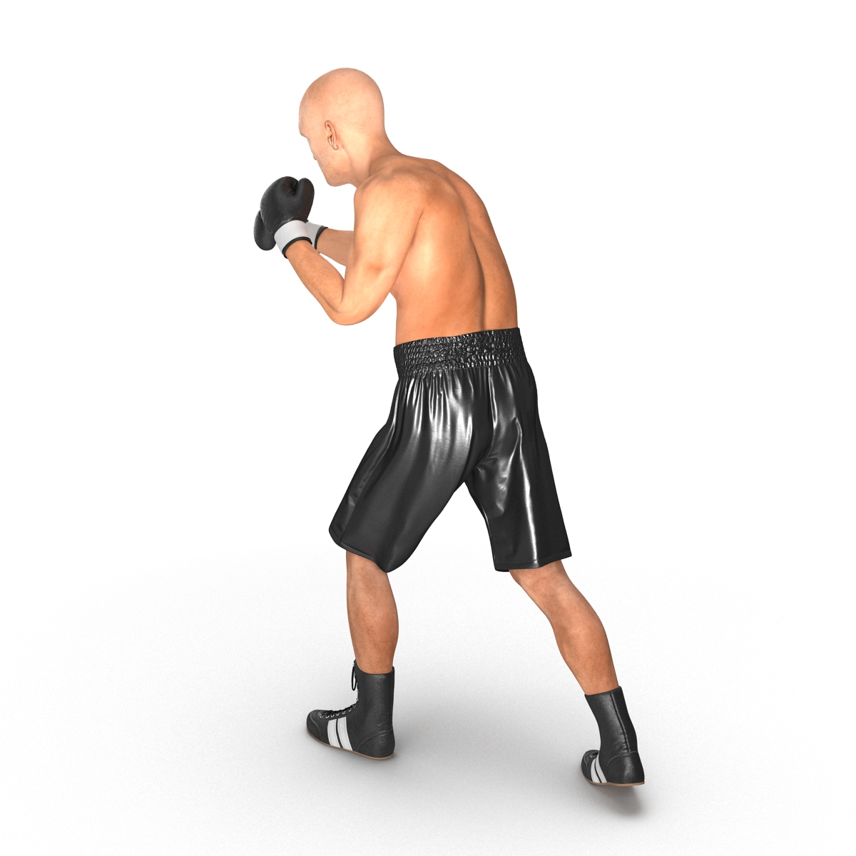 Adult Boxer Man 2 Pose 3 3D model