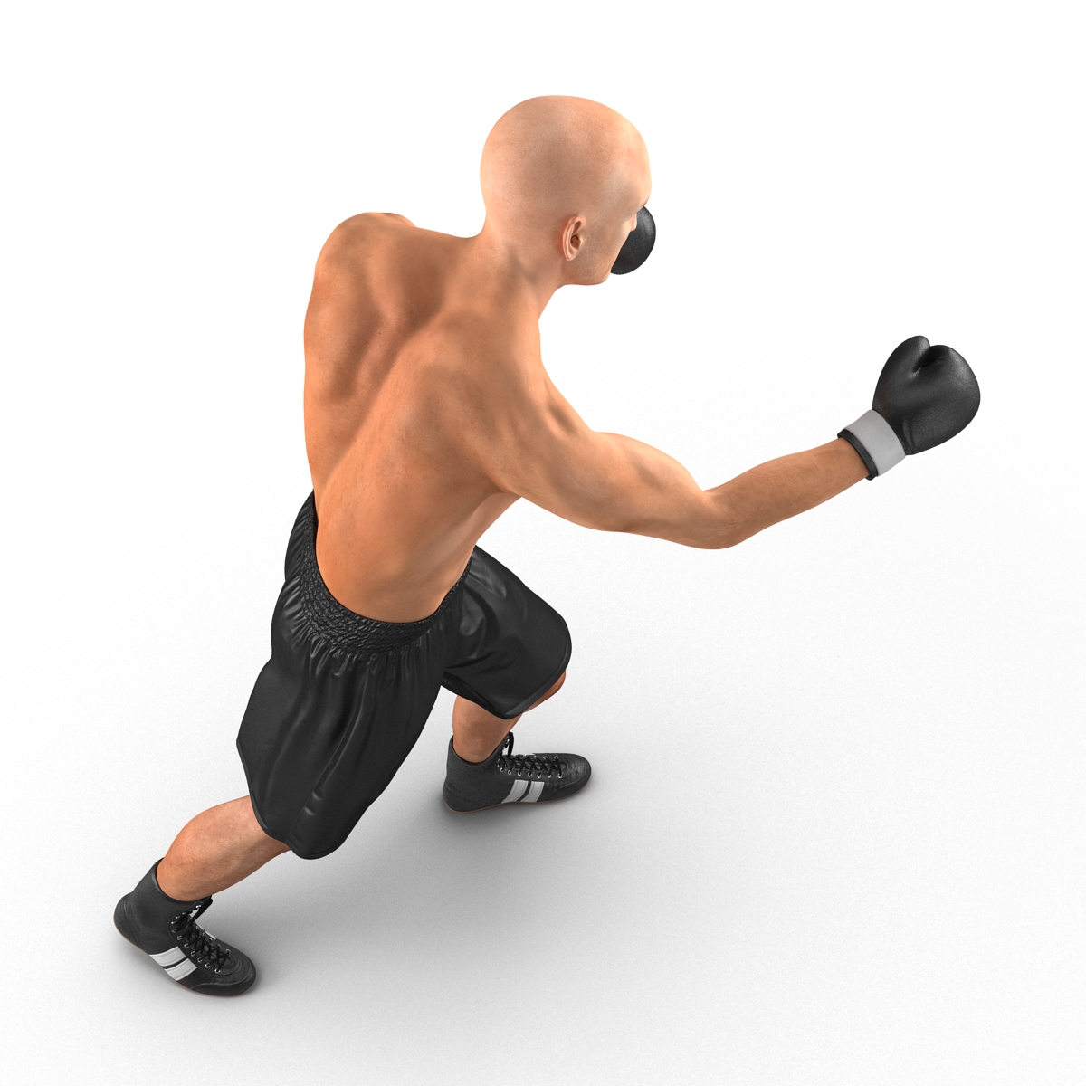 Adult Boxer Man 2 Pose 3 3D model