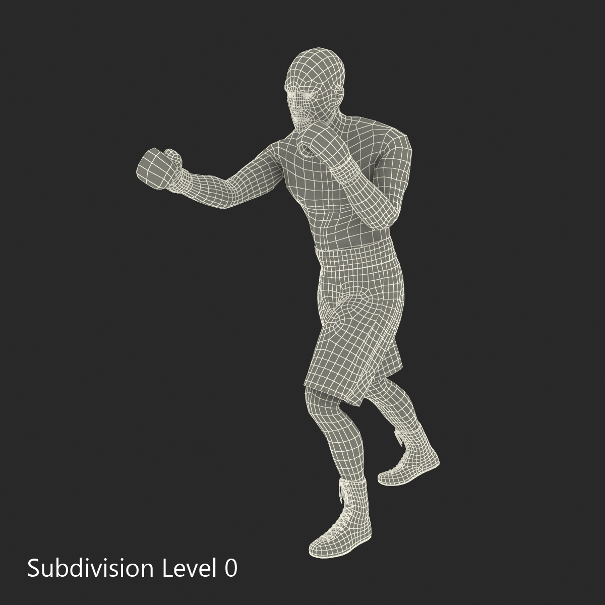 Adult Boxer Man 2 Pose 3 3D model