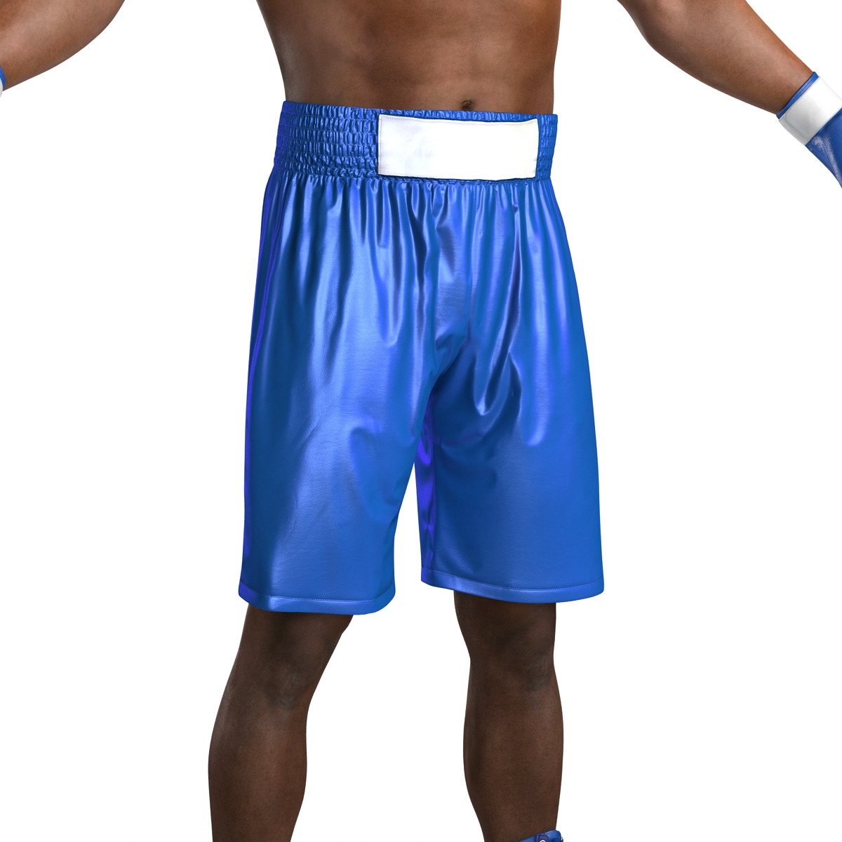 African American Boxer 3D