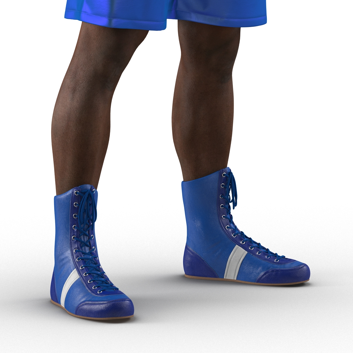 African American Boxer 3D