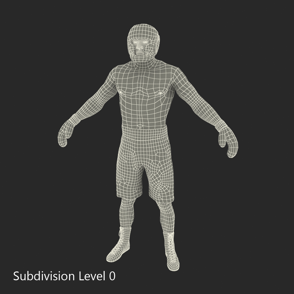 African American Boxer 3D