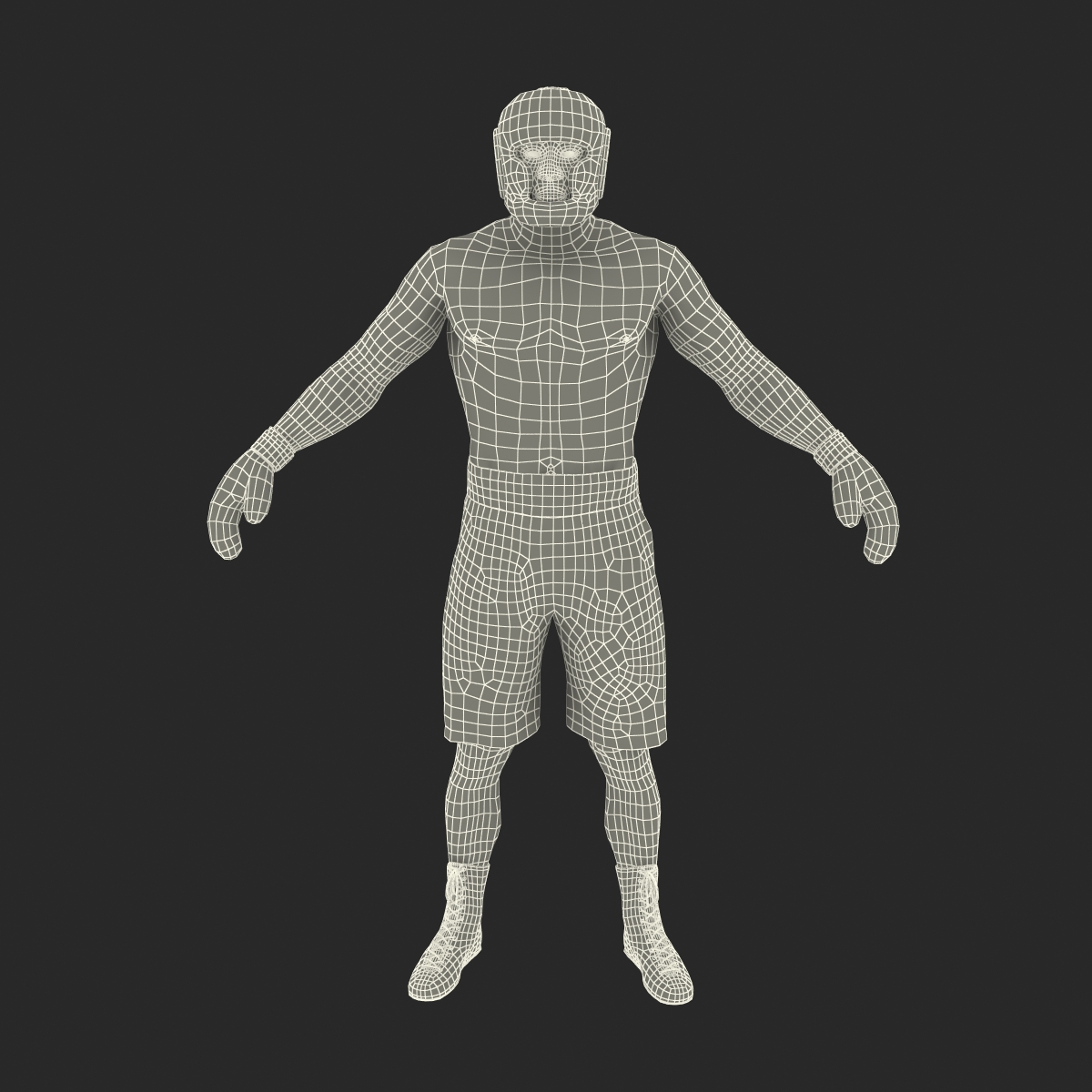 African American Boxer 3D