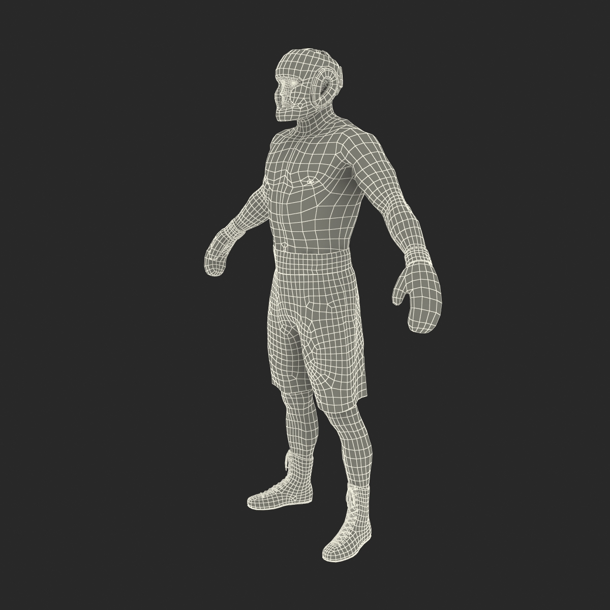 African American Boxer 3D