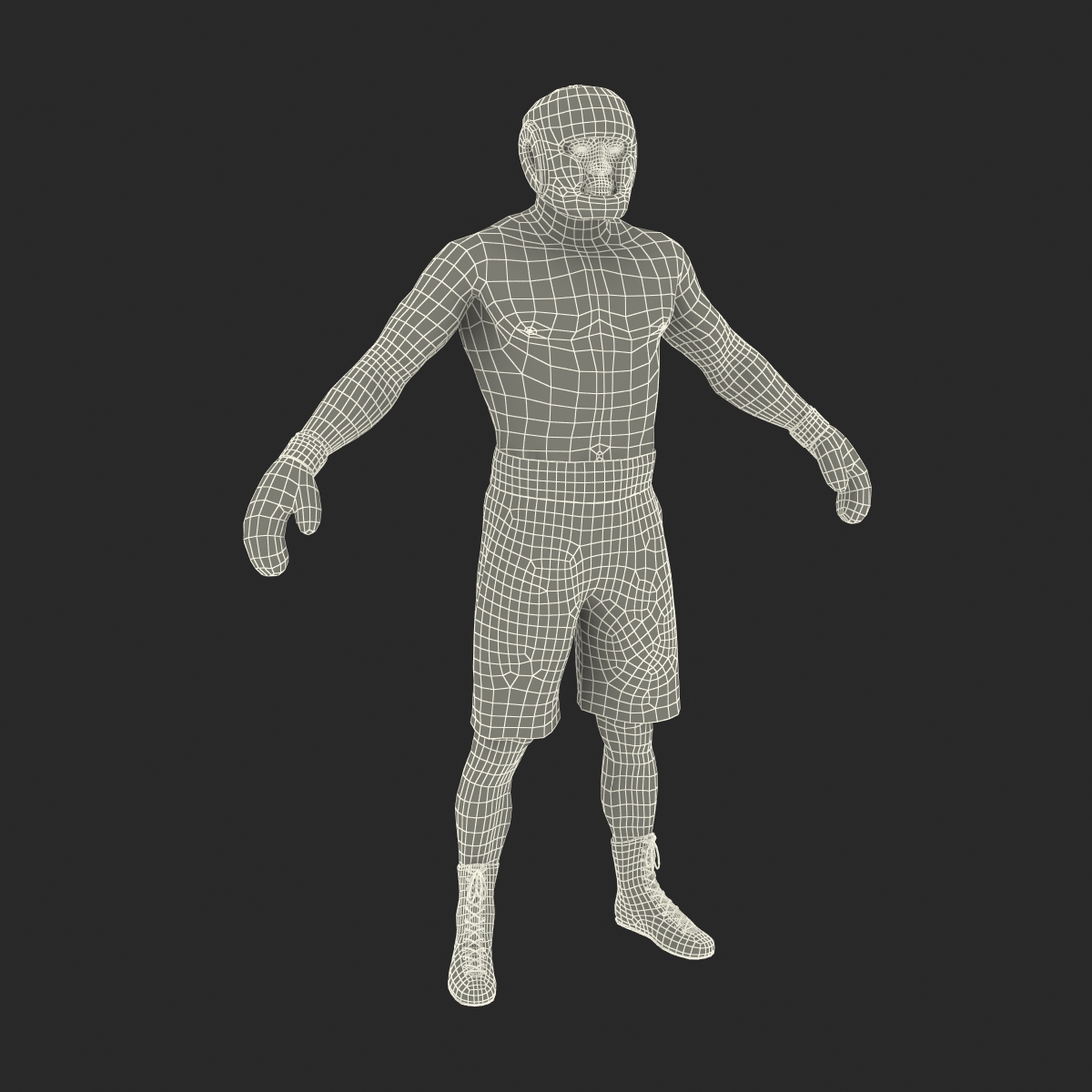 African American Boxer 3D